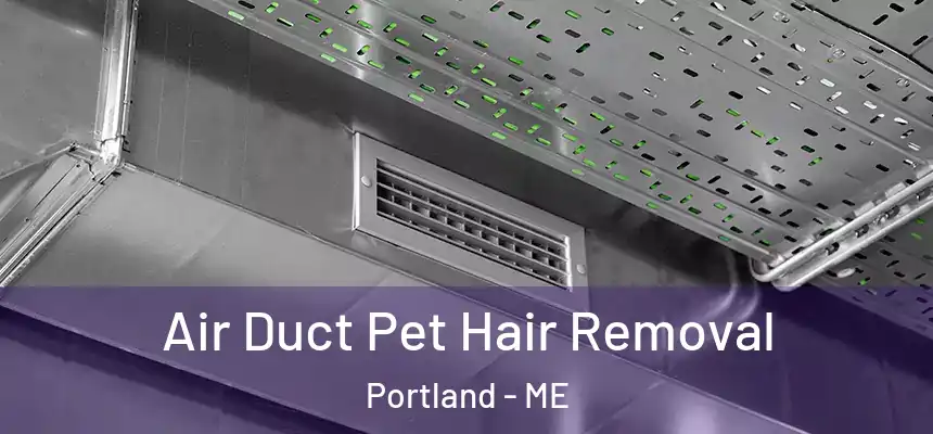 Air Duct Pet Hair Removal Portland - ME