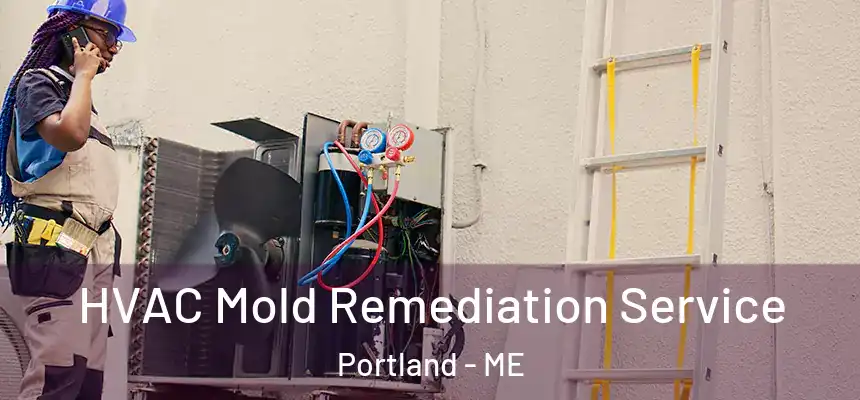  HVAC Mold Remediation Service Portland - ME