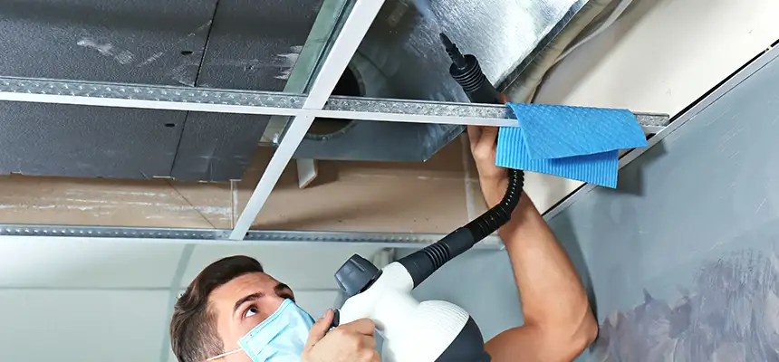 Our Air Duct Rodent Removal Services in Portland, ME
