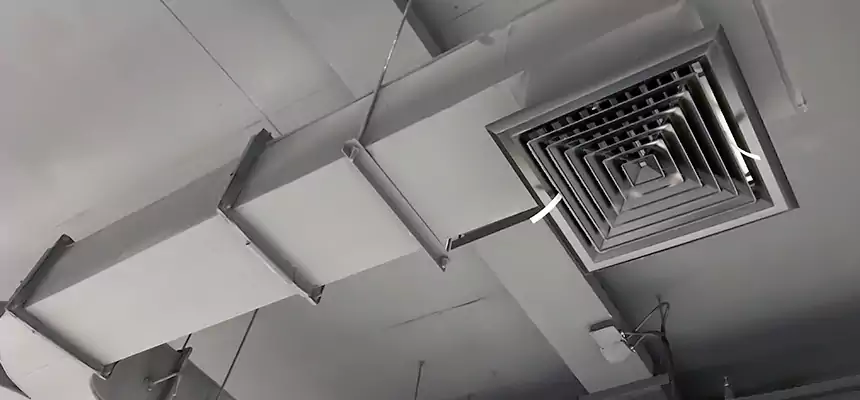 Restorative Allergy Relief Vent Cleaning – Coil, Blower & Housing Detail in Portland