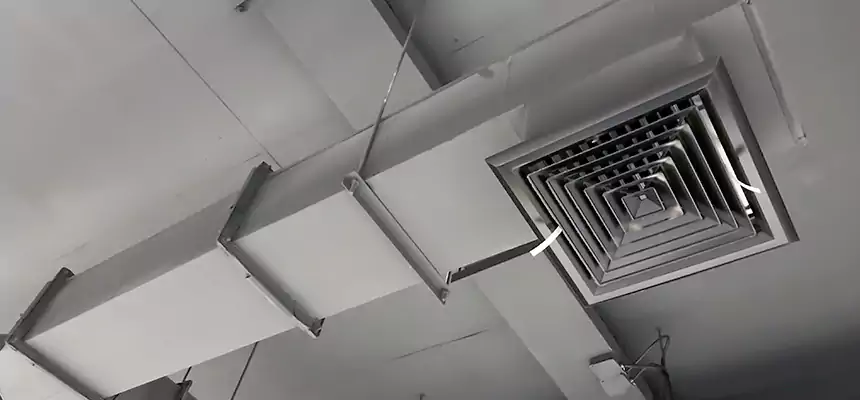 Our Rodent Droppings In Vents Services in Portland, ME