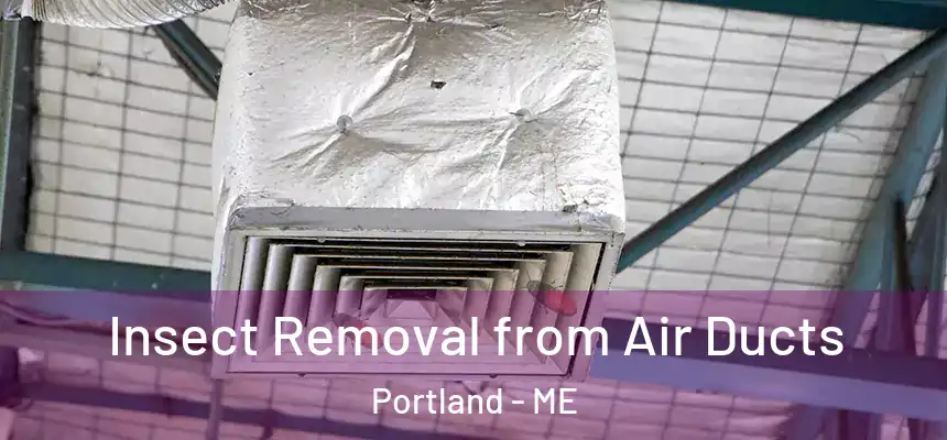 Insect Removal from Air Ducts Portland - ME