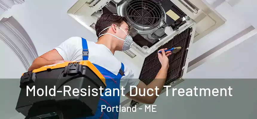  Mold-Resistant Duct Treatment Portland - ME