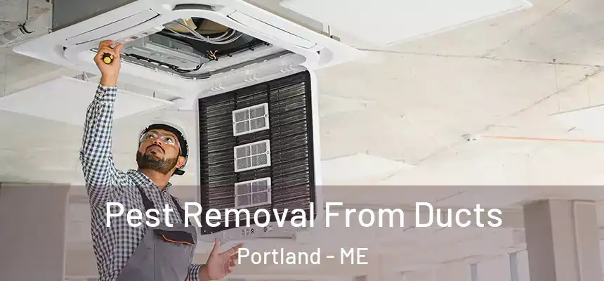  Pest Removal From Ducts Portland - ME