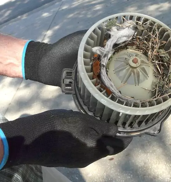 About Air Duct Rat Removal in Portland, ME