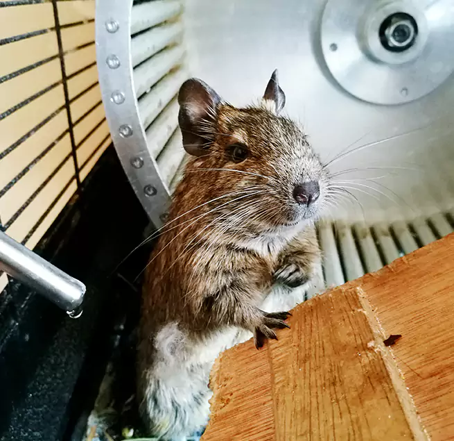 Why Homeowners & Businesses Trust Us Portland, ME