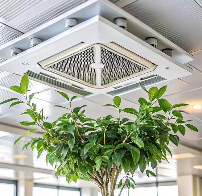 Why Homeowners & Businesses Trust Us in Portland, ME