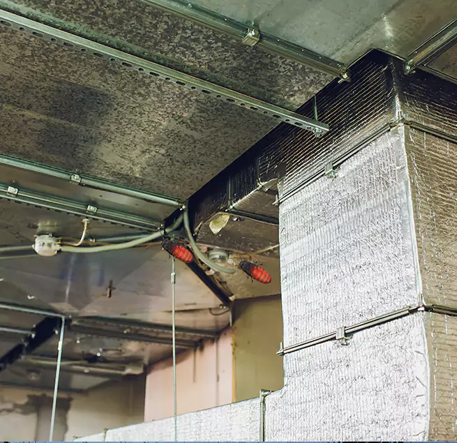 Why Homeowners & Businesses Trust Us Portland, ME?