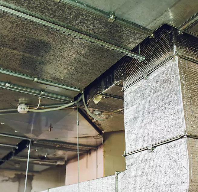 Why Homeowners & Businesses Trust Us in Portland, ME?